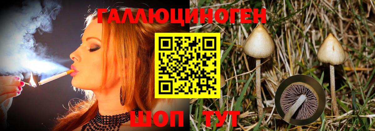 Елабуга  Галлюциногенные грибы ЛСД  Вход с VPN  Галлюциногенные грибы Cubensis 