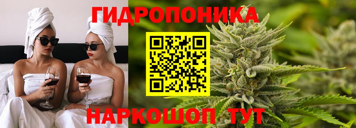Канабис план Елабуга